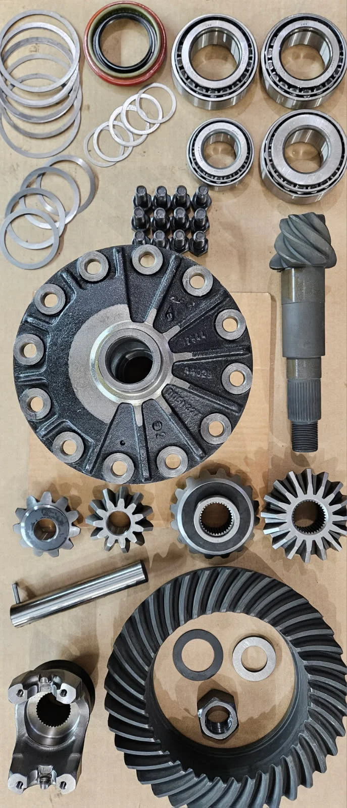 Differential internals, gears and bearings